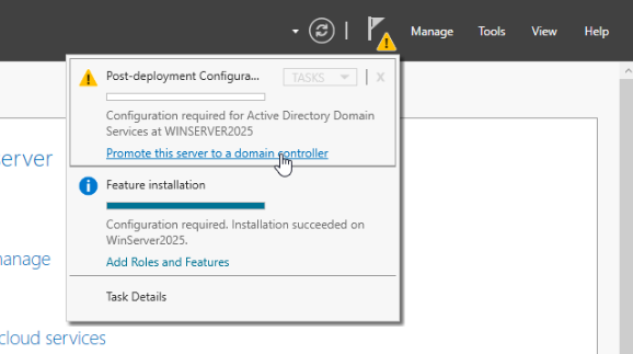 Post-deployment configuration flag with Promote this server to a domain controller link