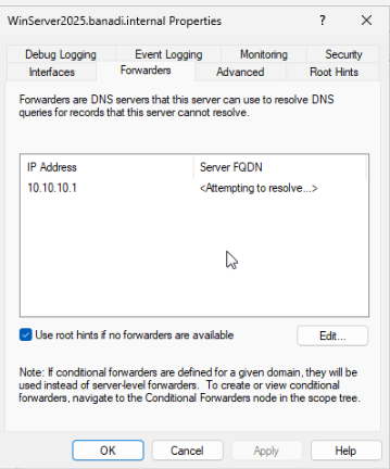 DNS server Forwarders tab with 10.10.10.1 added