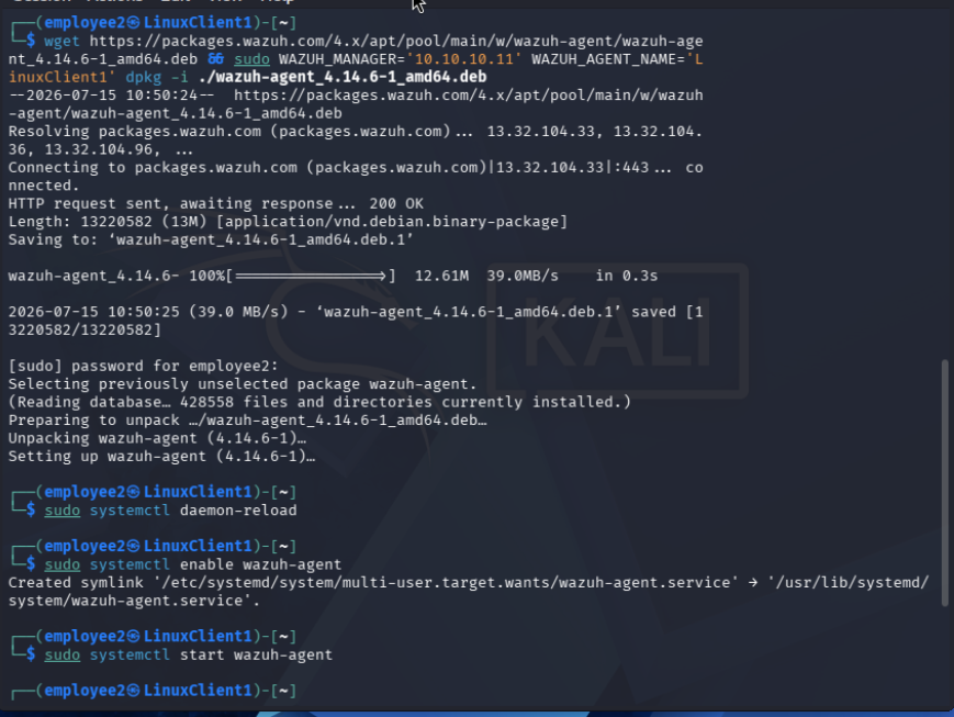 Kali terminal downloading and installing the Wazuh agent deb package and enabling the service