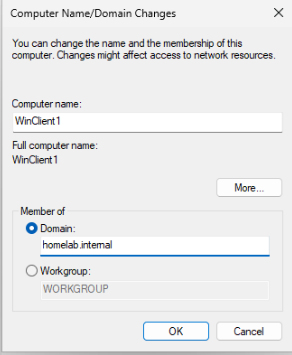 Computer Name/Domain Changes dialog with computer name WinClient1 and Member of Domain set to homelab.internal